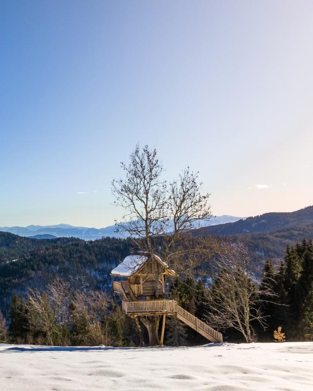 Zeilinger Drohne Dez.21-9 Zeilinger Drohne Dez.21-9