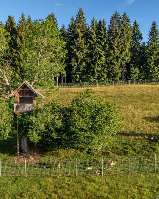 NGL Drohne Juli 24-44 NGL Drohne Juli 24-44