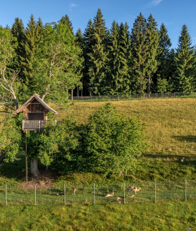 NGL Drohne Juli 24-44